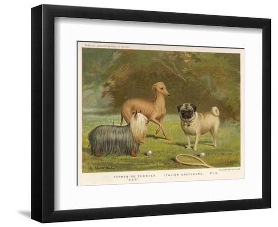 Photographic Print, , large