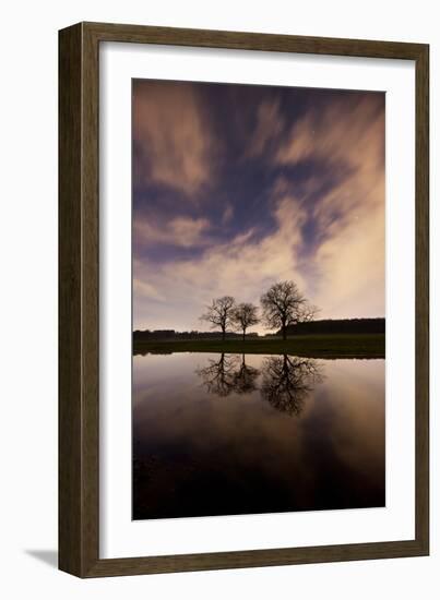 Three Trees Reflected in a Pond in Richmond Park at Night-Alex Saberi-Framed Photographic Print