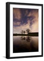 Three Trees Reflected in a Pond in Richmond Park at Night-Alex Saberi-Framed Photographic Print