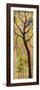 Three Trees Triptych Section 1-Blenda Tyvoll-Framed Art Print