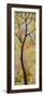 Three Trees Triptych Section 3-Blenda Tyvoll-Framed Art Print