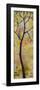 Three Trees Triptych Section 3-Blenda Tyvoll-Framed Art Print