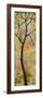 Three Trees Triptych Section 3-Blenda Tyvoll-Framed Art Print