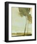 Three Trees-Greg Hargreaves-Framed Art Print