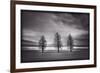 Three Trees-Steve Gadomski-Framed Photographic Print