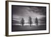 Three Trees-Steve Gadomski-Framed Photographic Print