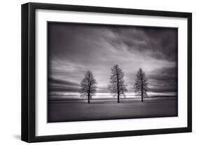 Three Trees-Steve Gadomski-Framed Photographic Print