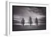 Three Trees-Steve Gadomski-Framed Photographic Print