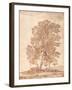 Three Trees-Claude Lorraine-Framed Giclee Print