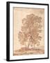 Three Trees-Claude Lorraine-Framed Giclee Print