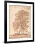 Three Trees-Claude Lorraine-Framed Giclee Print