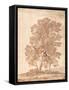 Three Trees-Claude Lorraine-Framed Stretched Canvas