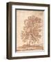 Three Trees-Claude Lorraine-Framed Giclee Print