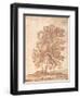 Three Trees-Claude Lorraine-Framed Giclee Print