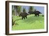 Three Triceratops Walking across an Open Field-null-Framed Art Print