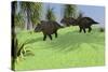 Three Triceratops Walking across an Open Field-null-Stretched Canvas