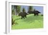 Three Triceratops Walking across an Open Field-null-Framed Premium Giclee Print