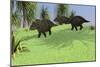 Three Triceratops Walking across an Open Field-null-Mounted Premium Giclee Print