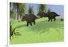 Three Triceratops Walking across an Open Field-null-Framed Art Print