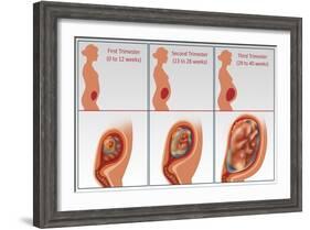 Three Trimesters-Gwen Shockey-Framed Giclee Print