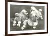 Three Trimmed Miniature Poodles-null-Framed Premium Giclee Print