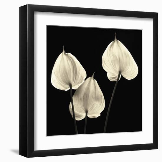 Three Tropicals-Michael Harrison-Framed Giclee Print