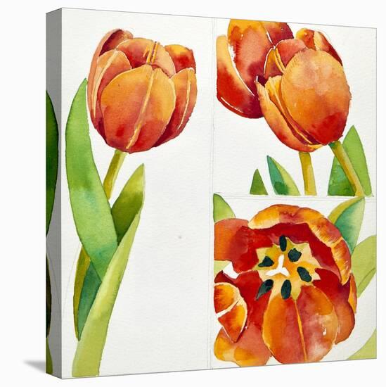 Three Tulip Studies in a Sure, 2013-Jennifer Abbott-Stretched Canvas