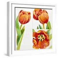 Three Tulip Studies in a Sure, 2013-Jennifer Abbott-Framed Giclee Print