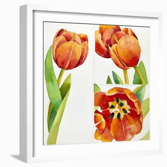 Three Tulip Studies in a Sure, 2013-Jennifer Abbott-Framed Giclee Print