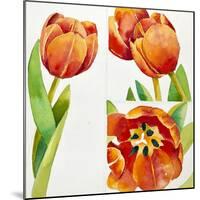 Three Tulip Studies in a Sure, 2013-Jennifer Abbott-Mounted Giclee Print