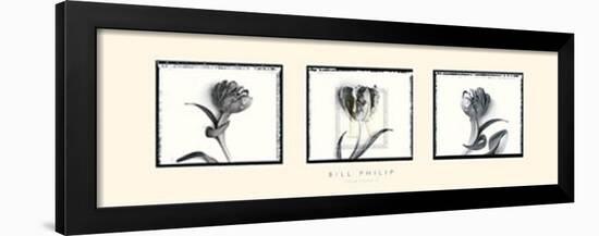 Three Tulips II-Bill Philip-Framed Art Print