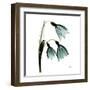 Three Tulips in Green-Albert Koetsier-Framed Art Print