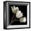 Three Tulips-Michael Harrison-Framed Giclee Print