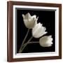 Three Tulips-Michael Harrison-Framed Giclee Print