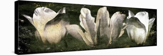 Three Tulips-Milli Villa-Stretched Canvas