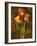 Three Tulips-John Seba-Framed Art Print