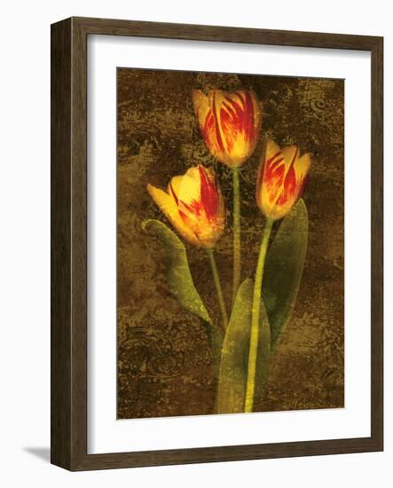 Three Tulips-John Seba-Framed Art Print