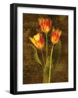 Three Tulips-John Seba-Framed Art Print