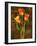 Three Tulips-John Seba-Framed Art Print