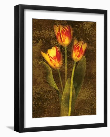 Three Tulips-John Seba-Framed Art Print