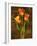 Three Tulips-John Seba-Framed Art Print