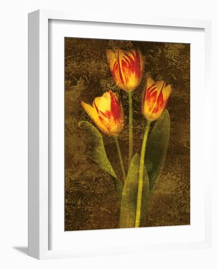 Three Tulips-John Seba-Framed Art Print