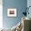 Three Turquoise Chairs-Jennifer Kennard-Framed Photographic Print displayed on a wall