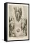 Three Types of Cherub-F. Van Bleyswyck-Framed Stretched Canvas