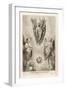 Three Types of Cherub-F. Van Bleyswyck-Framed Art Print