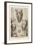 Three Types of Cherub-F. Van Bleyswyck-Framed Art Print