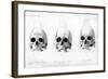 Three Types of Human Skull, 1848-null-Framed Giclee Print