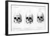 Three Types of Human Skull, 1848-null-Framed Giclee Print
