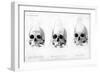 Three Types of Human Skull, 1848-null-Framed Giclee Print