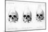 Three Types of Human Skull, 1848-null-Mounted Giclee Print